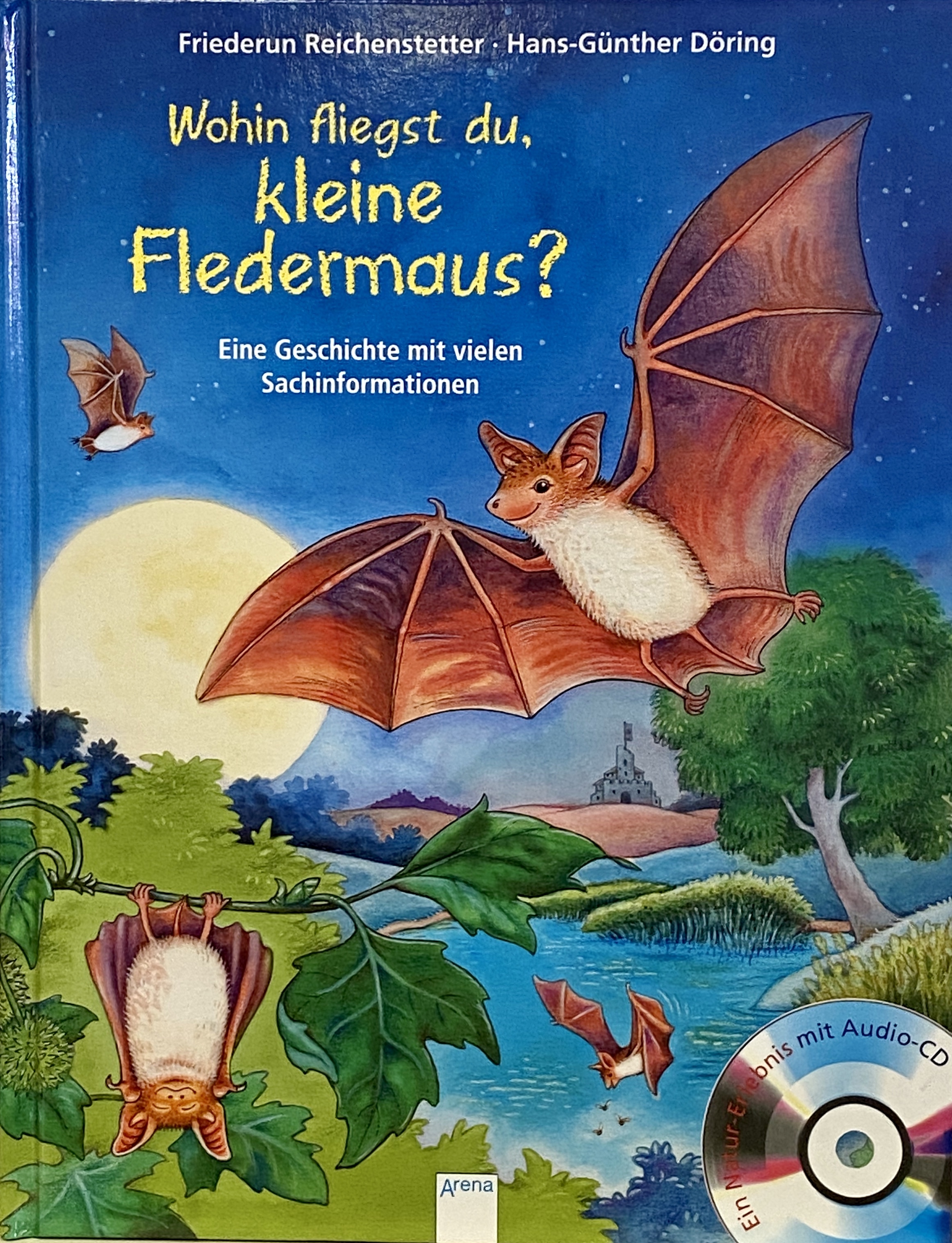 Wohin fliegst du, kleine Fledermaus?