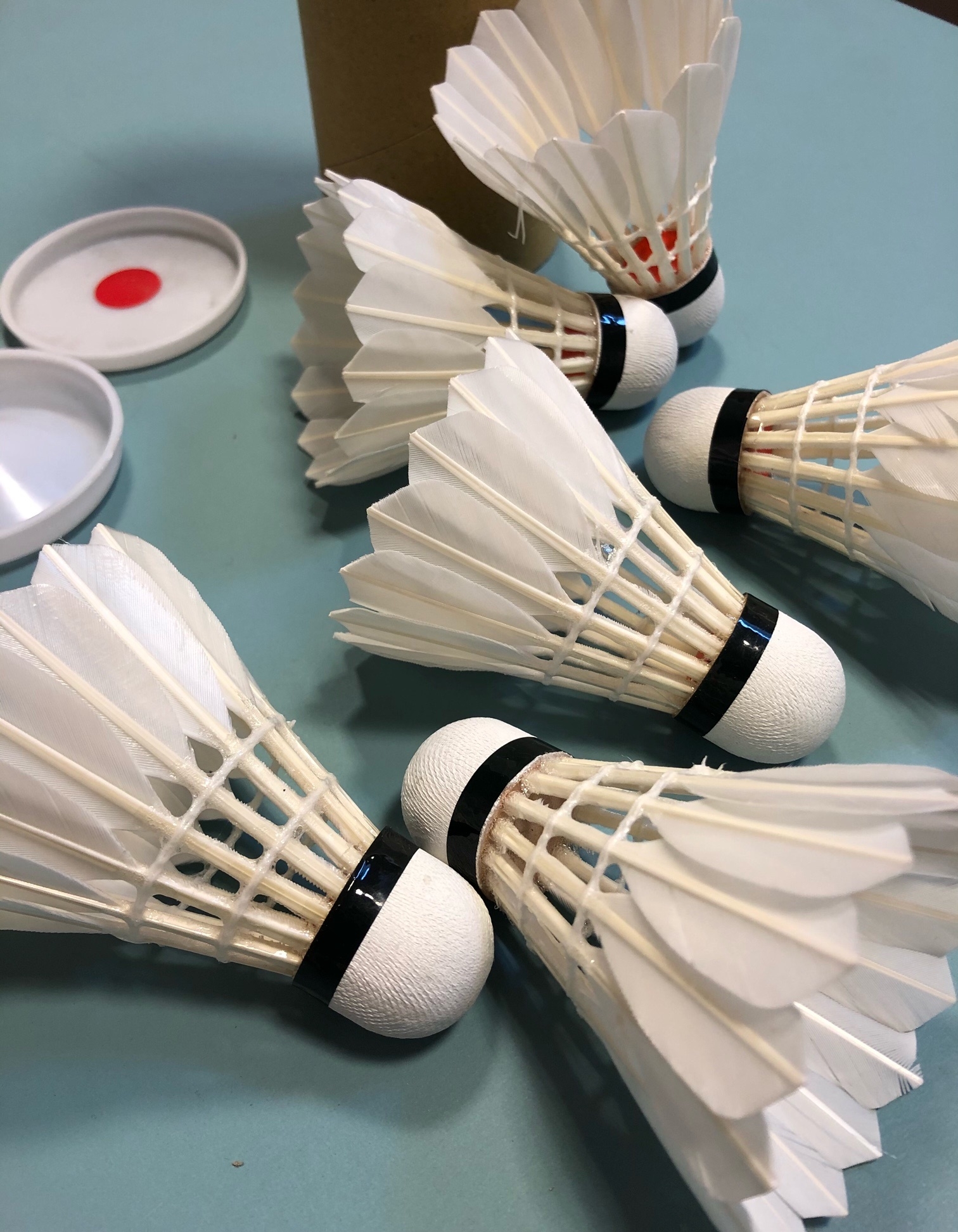 Natur-Federbälle Badminton