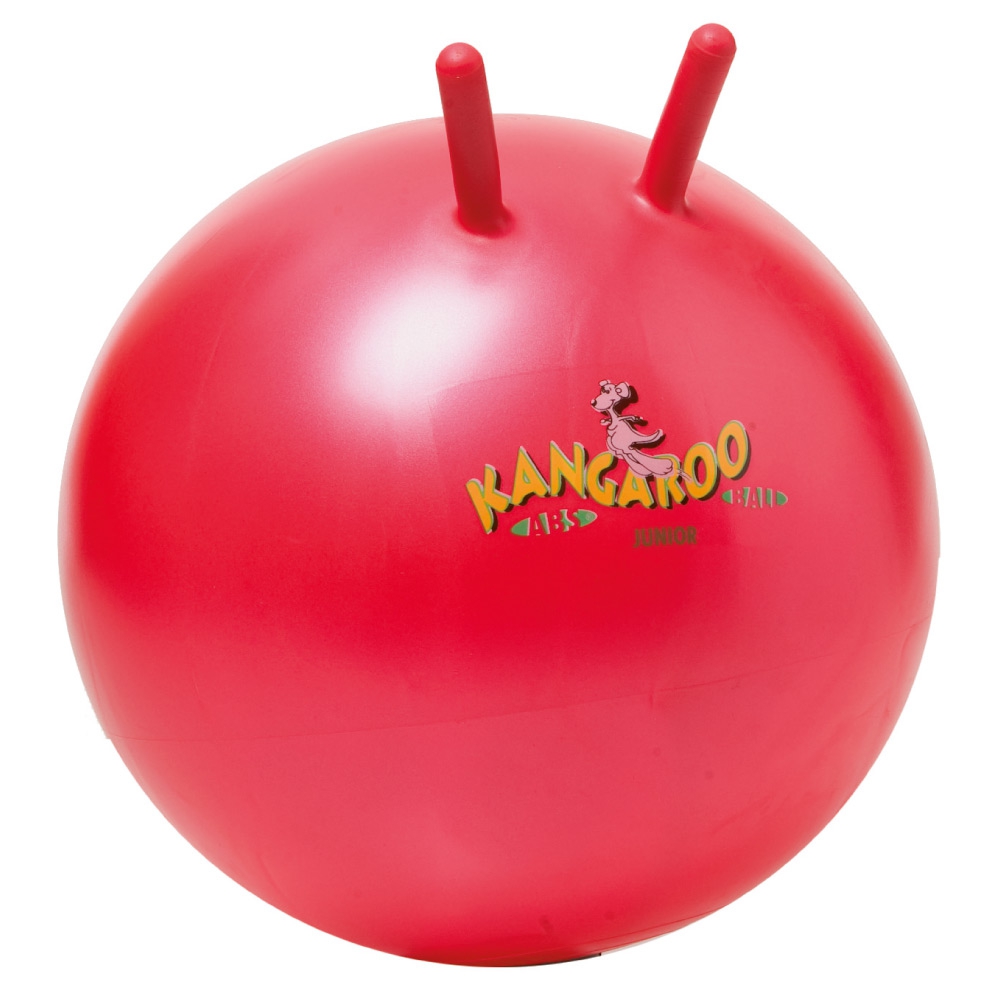 Hüpfball Ø 60 cm