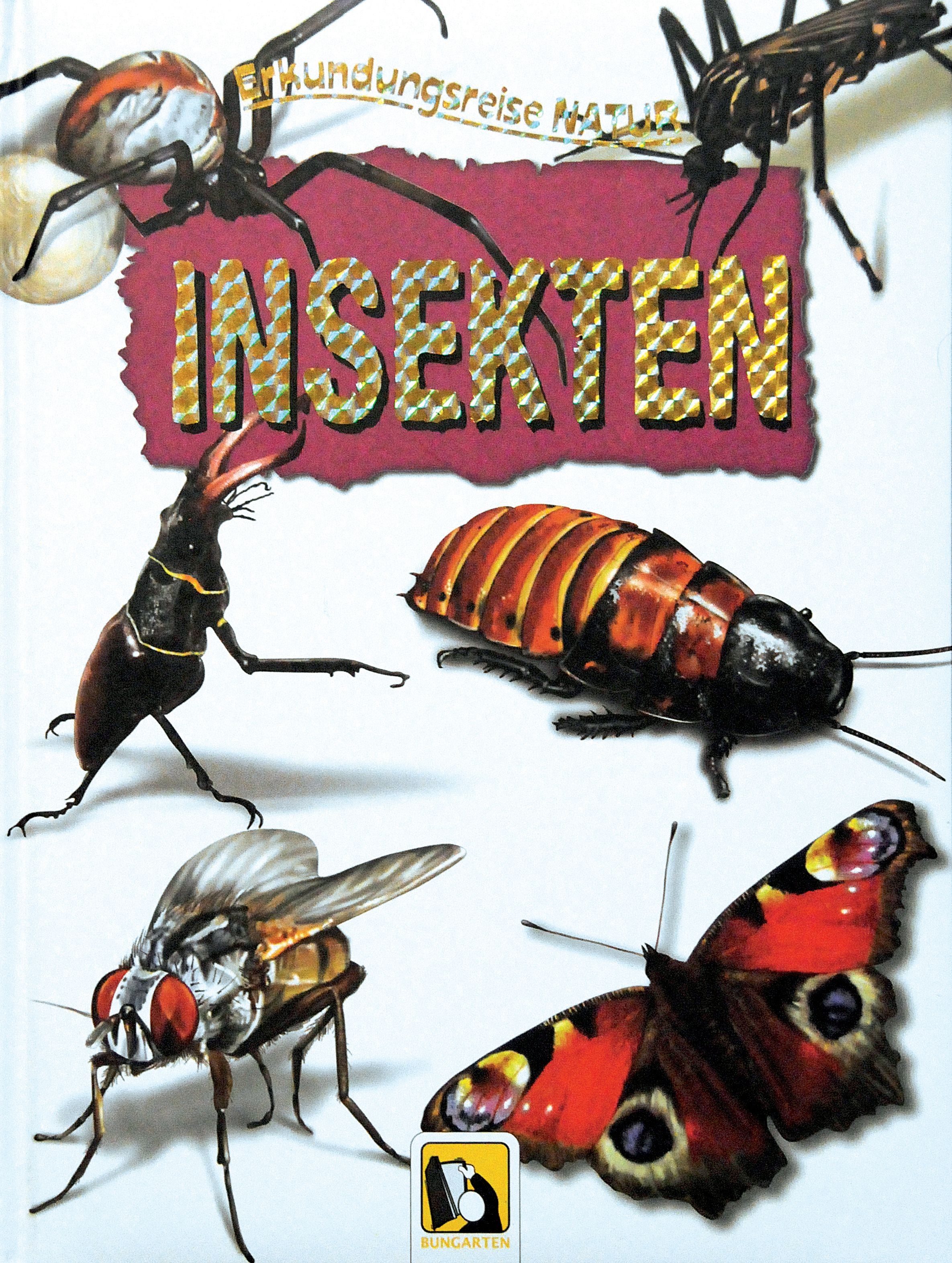 Erkundungsreise Natur Insekten